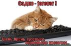 https://lolkot.ru/2012/09/17/sadko-forever/