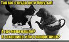 https://lolkot.ru/2016/06/17/saharok-i-konfetka/