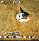 https://lolkot.ru/2011/03/19/said-i-novyy-tualet/