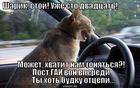 https://lolkot.ru/2013/09/02/salochki-dogonyalochki/