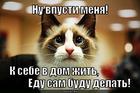 https://lolkot.ru/2013/09/18/sam-2/