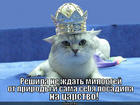 https://lolkot.ru/2012/11/02/sama-sebe-milost/