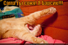 https://lolkot.ru/2012/07/31/sama-ty-sonya/