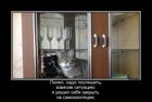 https://lolkot.ru/2020/04/03/samoizolyatsiya/