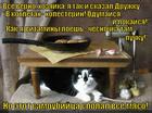 https://lolkot.ru/2015/06/05/samoubilsya/
