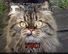 https://lolkot.ru/2011/11/25/samoye-strashnoye-slovo/