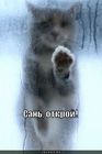 https://lolkot.ru/2010/11/25/san-otkroy-2/