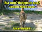 https://lolkot.ru/2016/04/13/sarayefobiya/