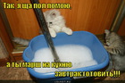https://lolkot.ru/2012/02/20/scha-pol-pomoyu/