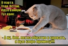 https://lolkot.ru/2012/03/12/schas-kofe-prinesu/