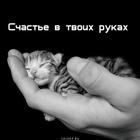 https://lolkot.ru/2012/10/13/schaste-v-tvoih-rukah/