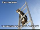 https://lolkot.ru/2011/05/25/schitaya-voron/