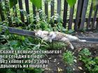 https://lolkot.ru/2011/05/24/segodnya-v-mode/