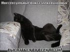 https://lolkot.ru/2011/10/22/seksualnyye-fantazii-n/