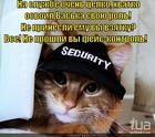 https://lolkot.ru/2013/05/07/sekuriti/