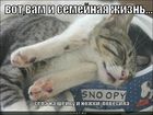 https://lolkot.ru/2011/11/09/semeynaya-zhizn/