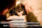 https://lolkot.ru/2011/03/05/serdechnaya-nedostatochnost/