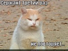 https://lolkot.ru/2011/06/16/serzhant-ne-povtoryayet/