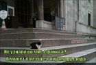 https://lolkot.ru/2011/04/28/sfinks/