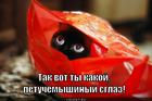 https://lolkot.ru/2013/09/02/sglazili/