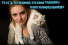 https://lolkot.ru/2017/03/25/shanhayskiy-barsik/
