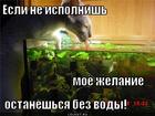 https://lolkot.ru/2012/09/10/shantazh-2/