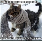 https://lolkot.ru/2012/02/17/sharfik/