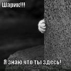 https://lolkot.ru/2011/03/19/sharik/