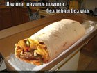 https://lolkot.ru/2011/04/23/shaurma-2/