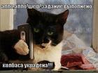 https://lolkot.ru/2014/06/27/shef-eto-ya-lelik-s/