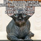 https://lolkot.ru/2012/08/14/shel-poskolznulsya-upal/