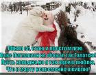 https://lolkot.ru/2015/08/11/sherstyanaya-pechka/