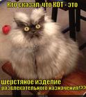 https://lolkot.ru/2013/01/23/sherstyanoye-izdeliye/