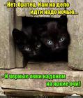 https://lolkot.ru/2016/11/05/shifrovaniye/