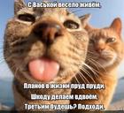 https://lolkot.ru/2024/07/16/shkodnaya-komanda/