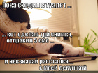 https://lolkot.ru/2012/05/29/shodil-v-tualet/