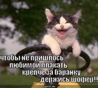 https://lolkot.ru/2010/06/16/shofer/