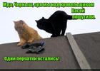 https://lolkot.ru/2016/10/03/shutniki/