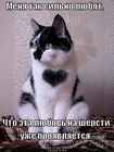 https://lolkot.ru/2012/03/20/silno-lyubyat/