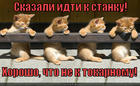 https://lolkot.ru/2012/08/26/skazano-sdelano/