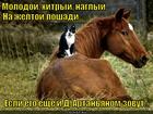https://lolkot.ru/2015/05/11/skazhite-kak-yego-zovut/