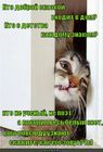 https://lolkot.ru/2012/01/06/skazkoy-vhodit-v-dom/