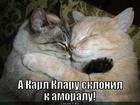 https://lolkot.ru/2012/11/24/sklonil-k-amoralu/