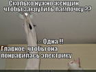 https://lolkot.ru/2011/12/20/skolko-nuzhno-zhenschin/