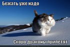 https://lolkot.ru/2012/01/02/skoro-drakony-priletyat/