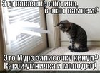 https://lolkot.ru/2011/03/15/skotina-umnichka-i-molodets/