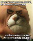 https://lolkot.ru/2014/06/23/skripuchiy-agressor/