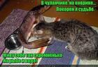 https://lolkot.ru/2017/05/31/skromnenkoye-zhitiye/