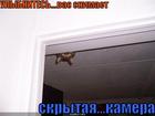 https://lolkot.ru/2010/01/31/skrytaya-kamera/