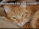 https://lolkot.ru/2012/10/18/skuchayu-2/